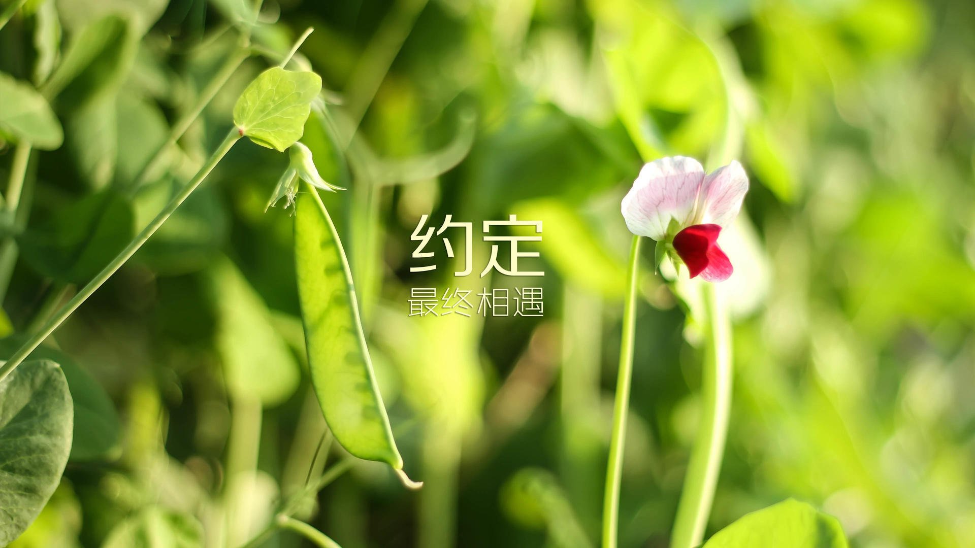 农业灌溉用水水价标准最新版（农业灌溉用水收费标准）